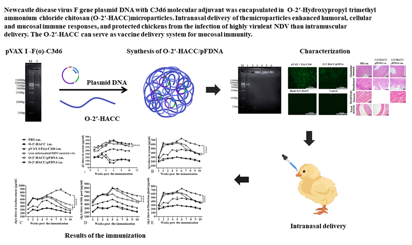 Graphical Abstract