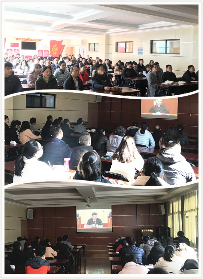 1545112560664970.jpg 33.jpg