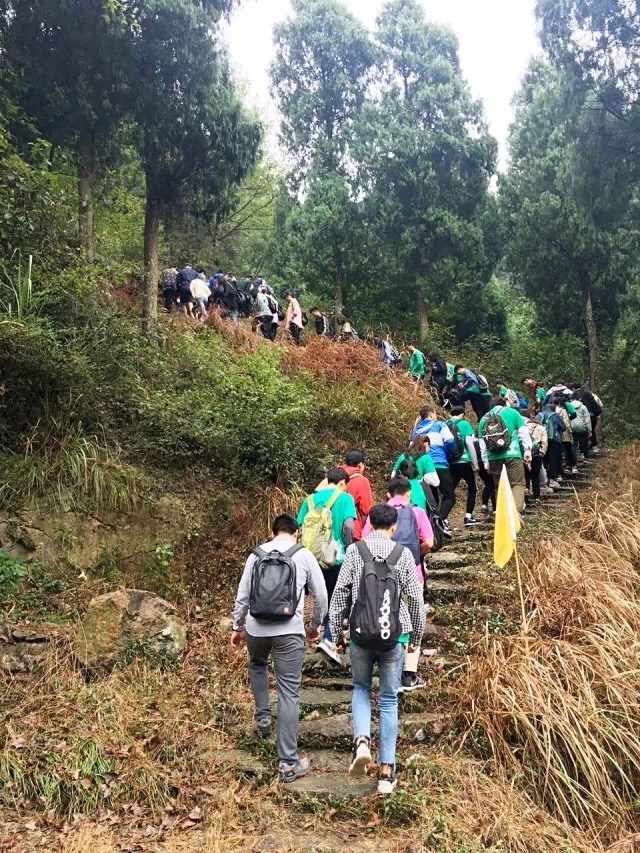 1511156917106073.jpg 4.jpg