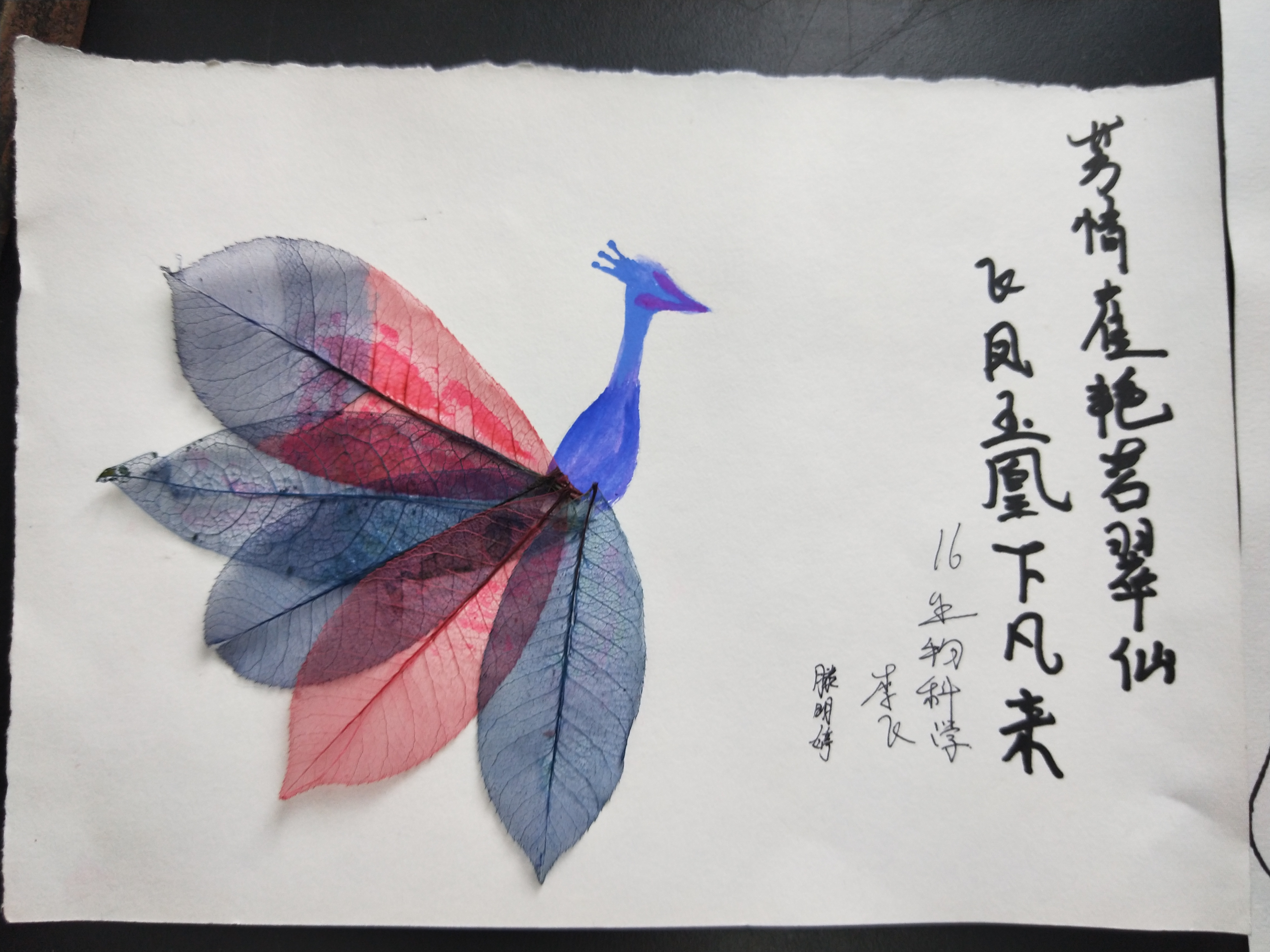 1525846025902032.jpg 1525846025902032.jpg