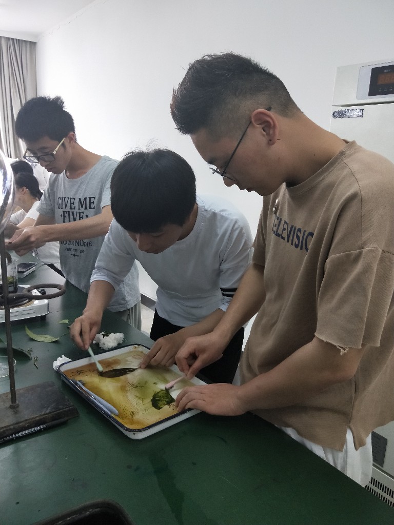 1525845832341801.jpg 1525845832341801.jpg